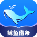 应用图标