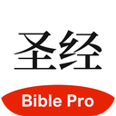 应用图标